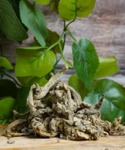 Mullein Leaves Herbs