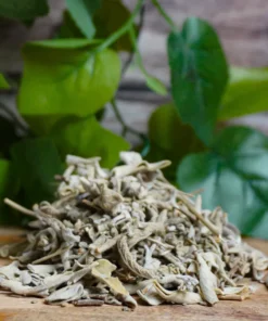 White Sage Leaves Herbs